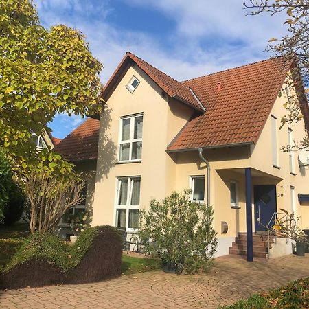 Ferienwohnung Suedpfalz Mit Fernblick Bochingen Luaran gambar