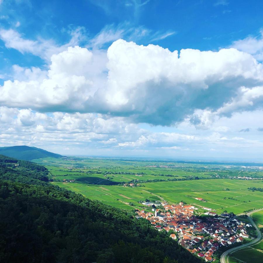 Ferienwohnung Suedpfalz Mit Fernblick Bochingen Luaran gambar