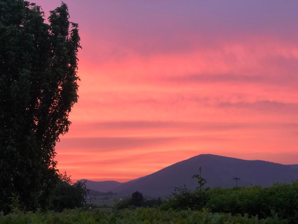 Ferienwohnung Suedpfalz Mit Fernblick Bochingen Luaran gambar